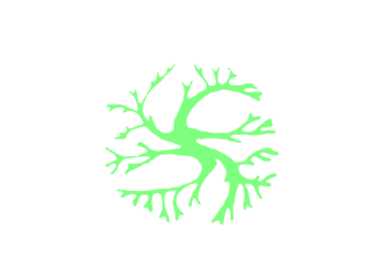 Armstrong Landscaping Co.