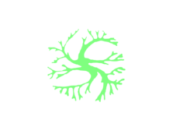 Armstrong Landscaping Co.